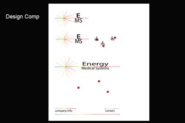 EMS Logo Comps