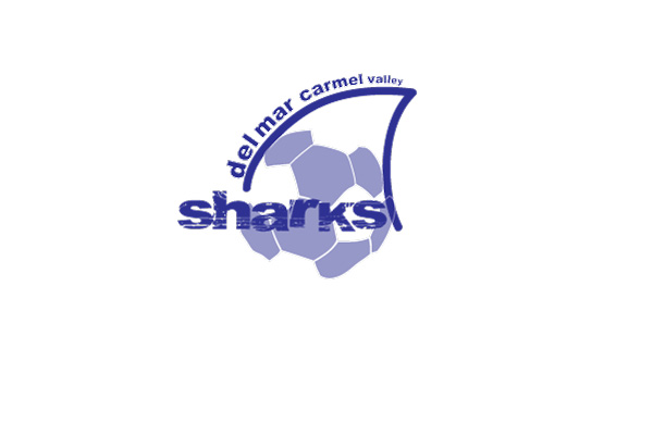 Sharks Logo Comps